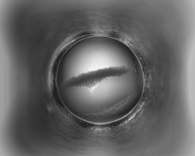 X0000093610343200710151243