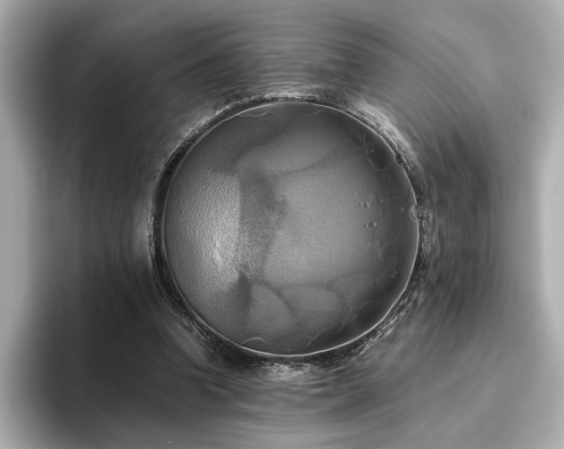 X0000093610346200710151243