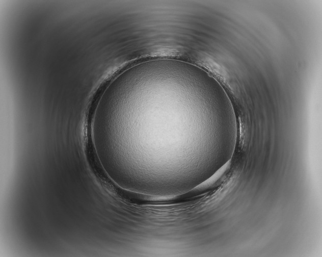 X0000093610348200710151243