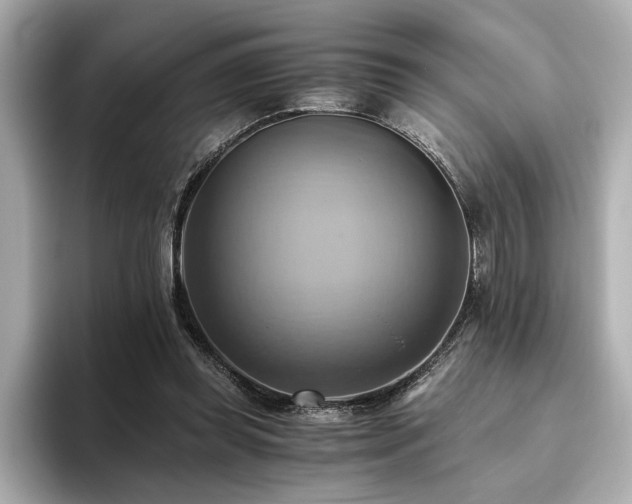 X0000093610349200710151243