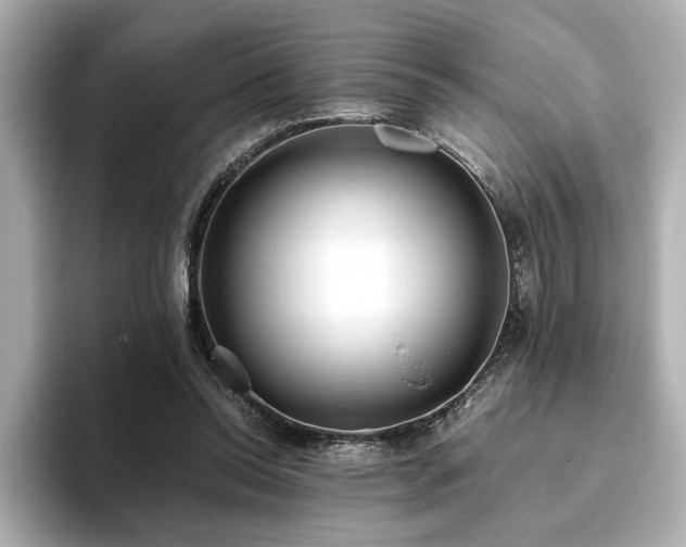 X0000093610350200710151243