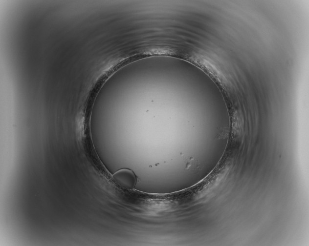 X0000093610351200710151243