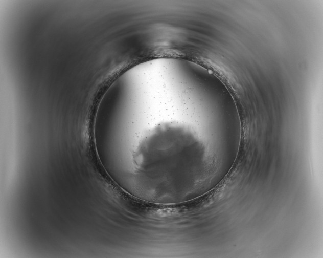X0000093610353200710151243