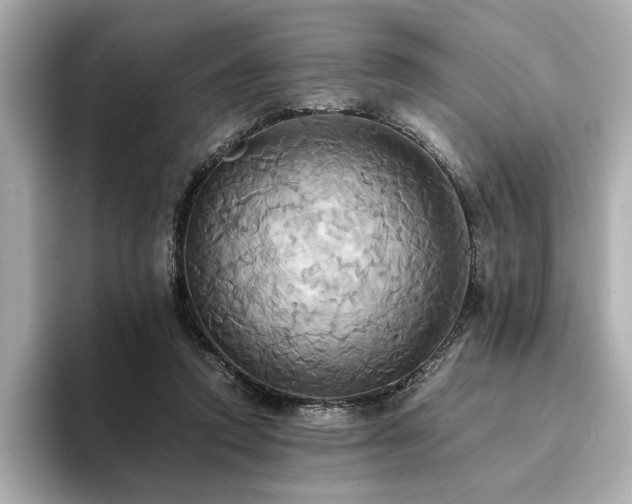 X0000093610354200710151243