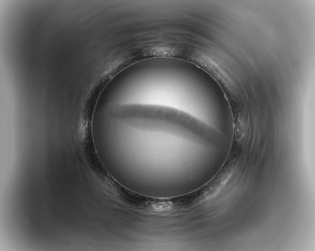 X0000093610355200710151243