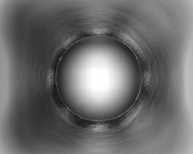 X0000093610356200710151243