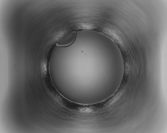X0000093610358200710151243