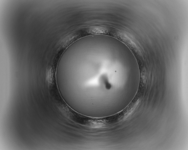 X0000093610359200710151243