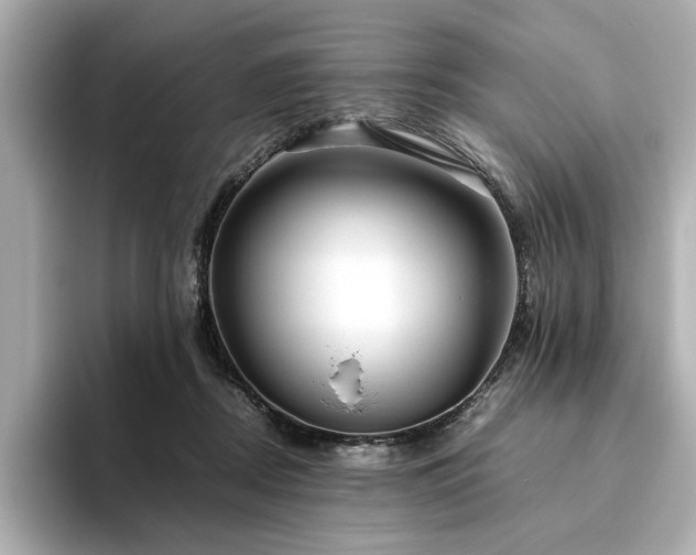 X0000093610362200710151243