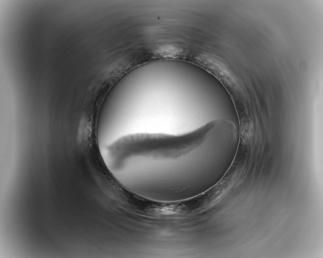 X0000093610365200710151243