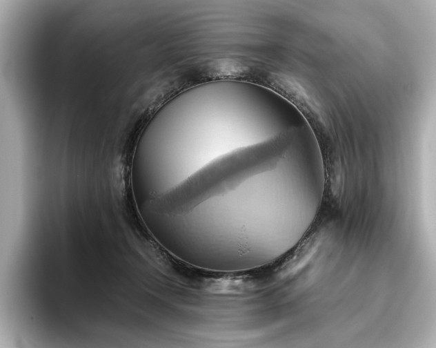 X0000093610366200710151243