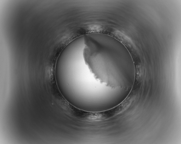 X0000093610369200710151243