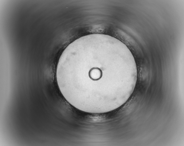 X0000093610370200710151243