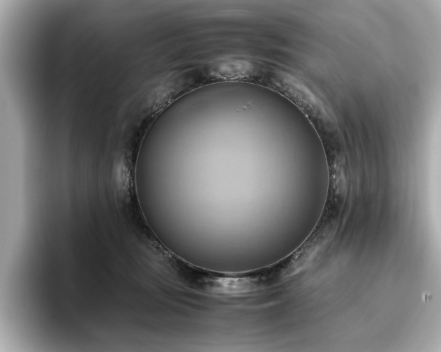 X0000093610371200710151243