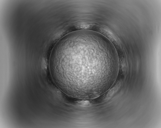 X0000093610374200710151243