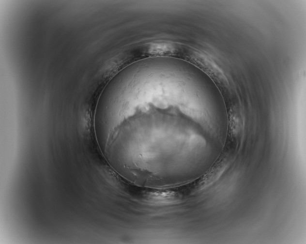 X0000093610375200710151243
