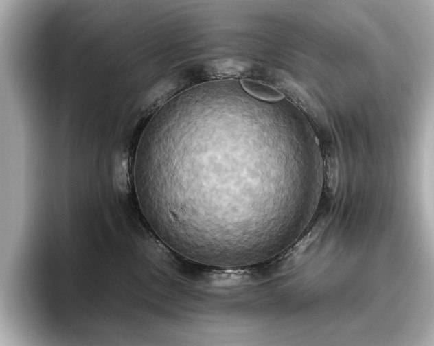 X0000093610378200710151243