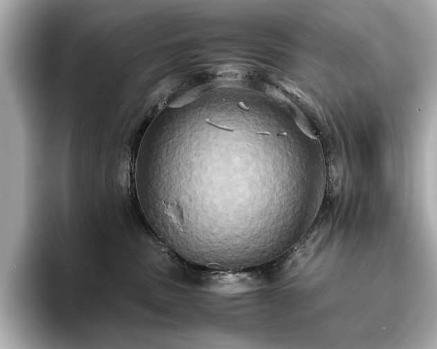 X0000093610379200710151243