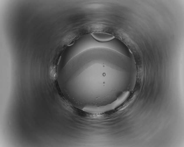 X0000093610383200710151244
