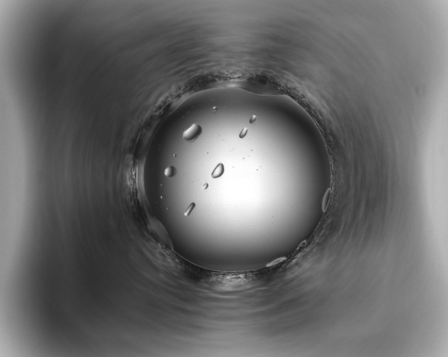 X0000093610384200710151244