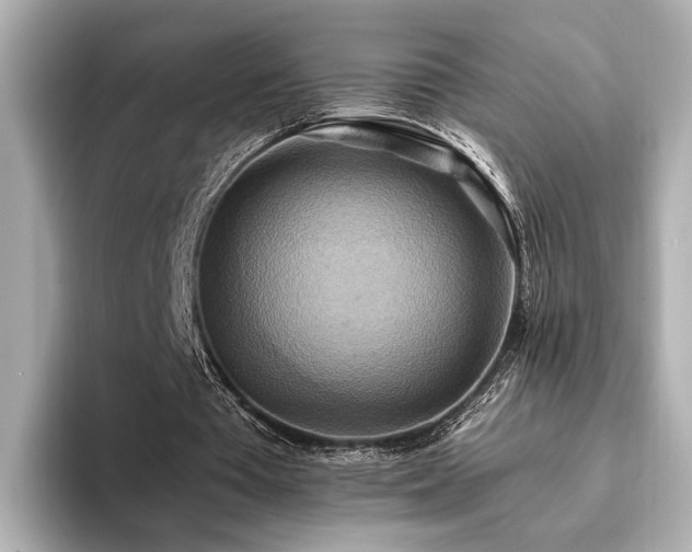 X0000093610385200710151243