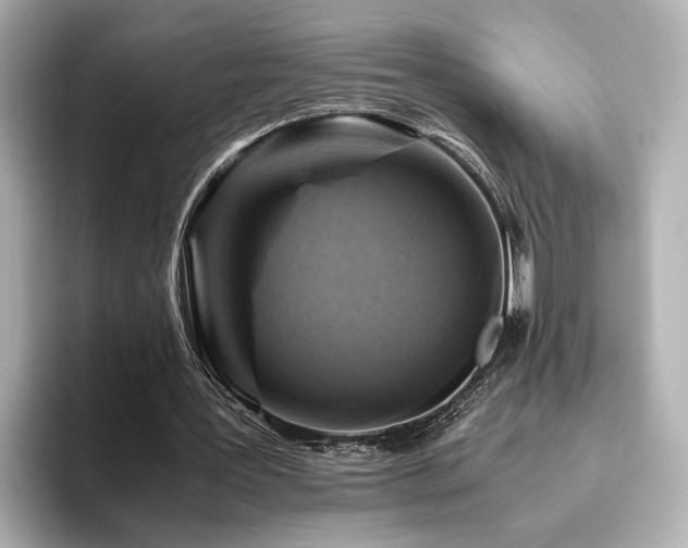 X0000093610387200710151243