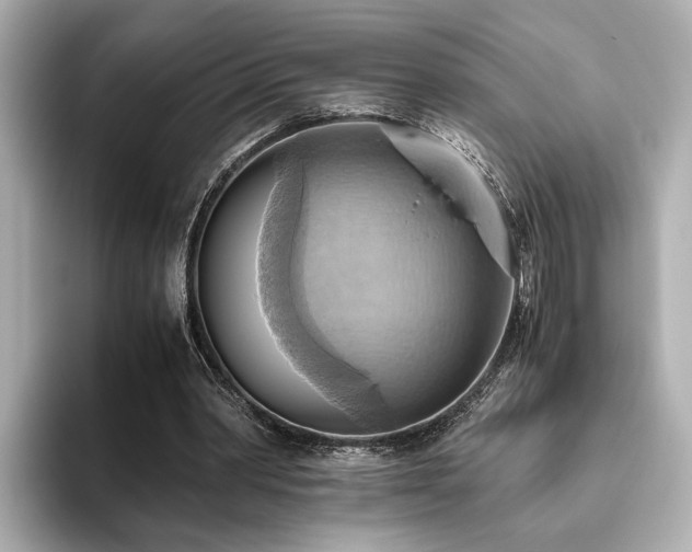 X0000093610390200710151243