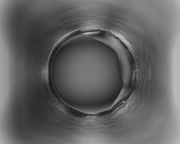 X0000093610391200710151243