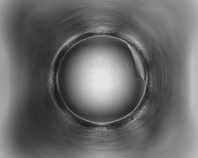 X0000093610392200710151243