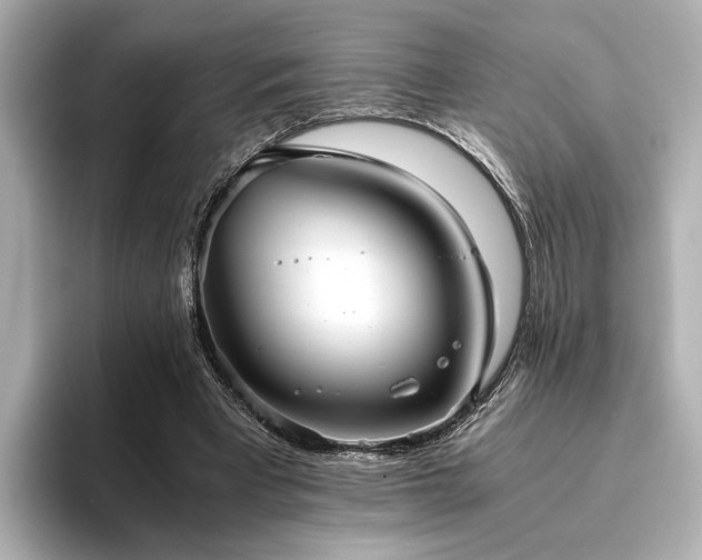 X0000093610393200710151243