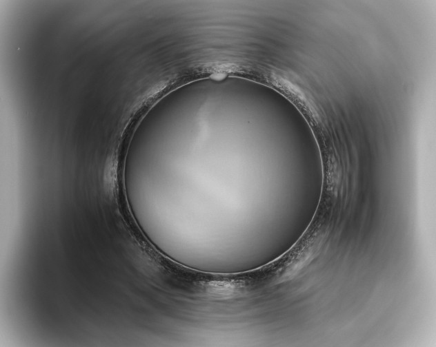 X0000093610394200710151243