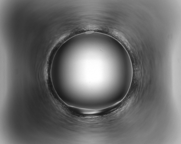 X0000093610395200710151243