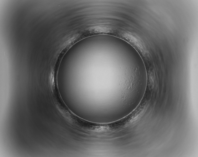 X0000093610398200710151243