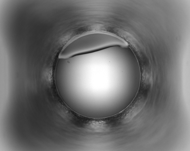 X0000093610403200710151243