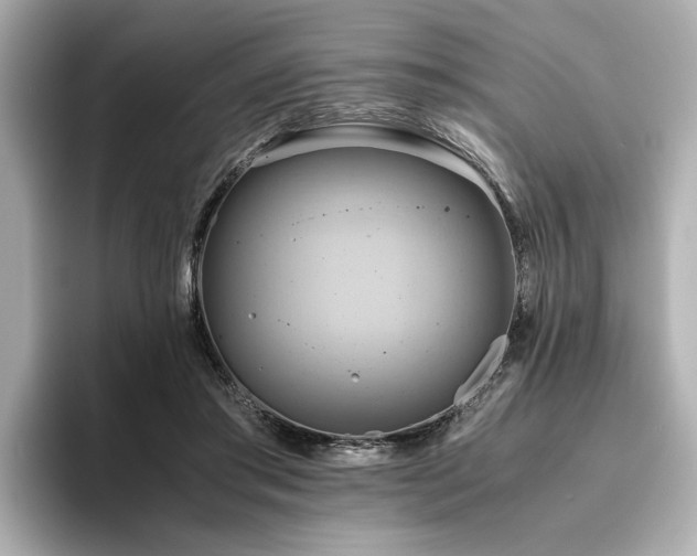 X0000093610405200710151243
