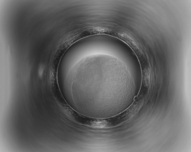 X0000093610410200710151243