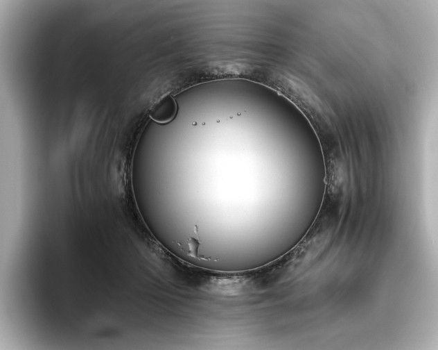 X0000093610414200710151243