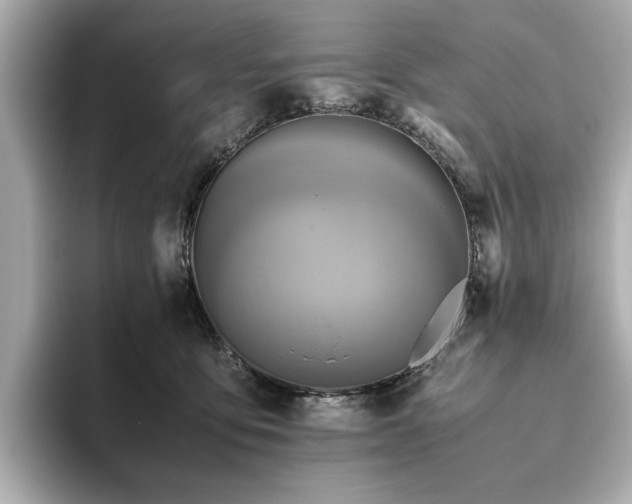 X0000093610419200710151243