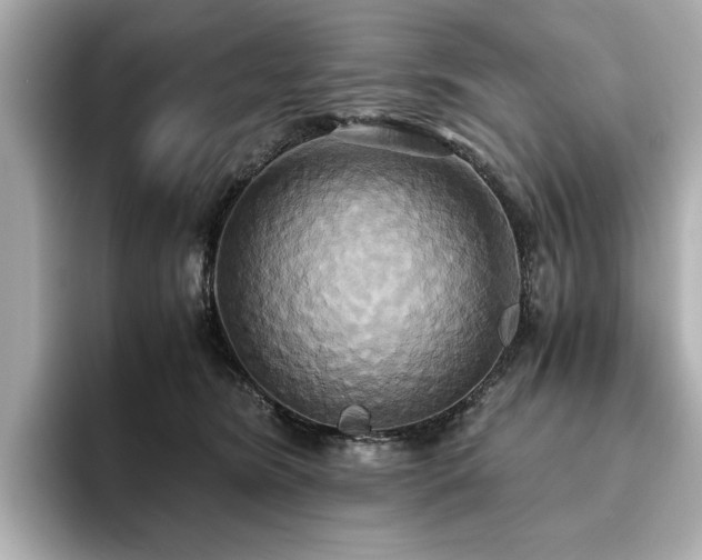 X0000093610420200710151243