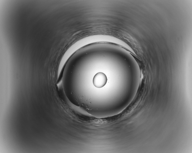 X0000093610421200710151243