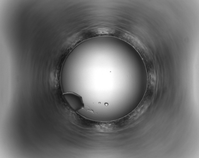 X0000093610422200710151243