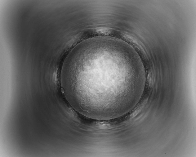 X0000093610424200710151243