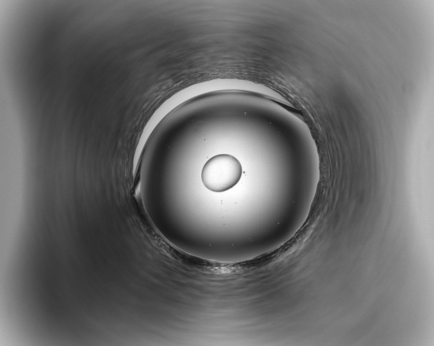 X0000093610432200710151242