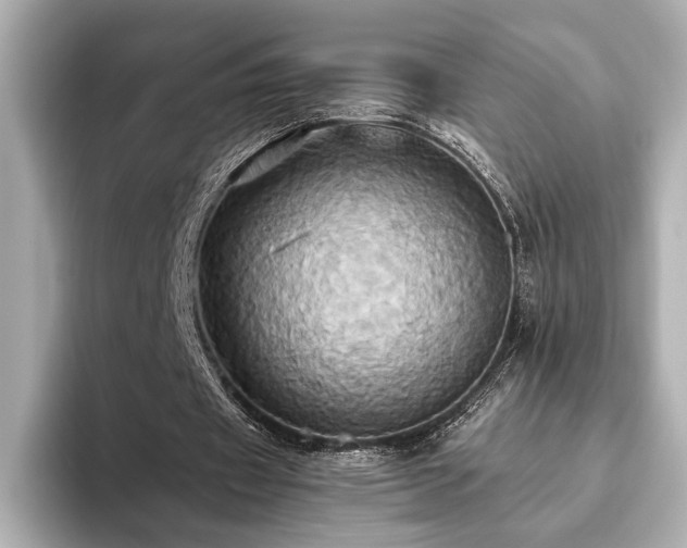 X0000093610433200710151242