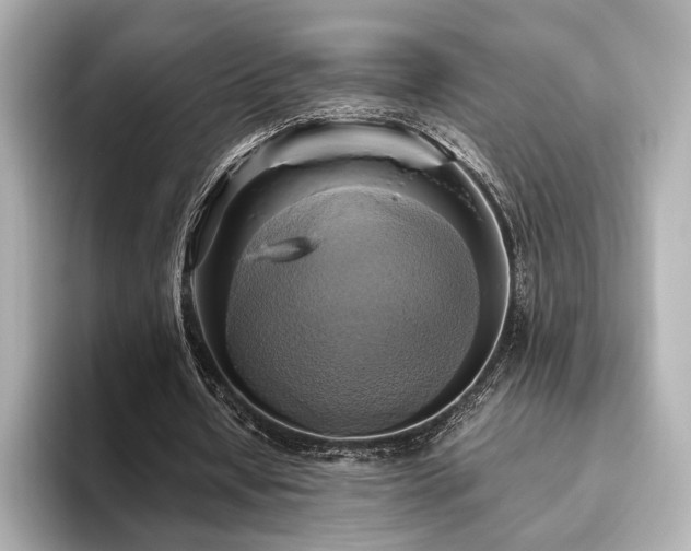 X0000093610434200710151242
