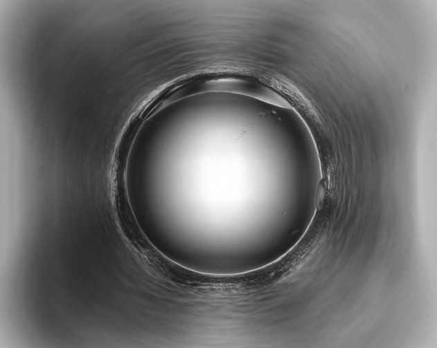 X0000093610436200710151242