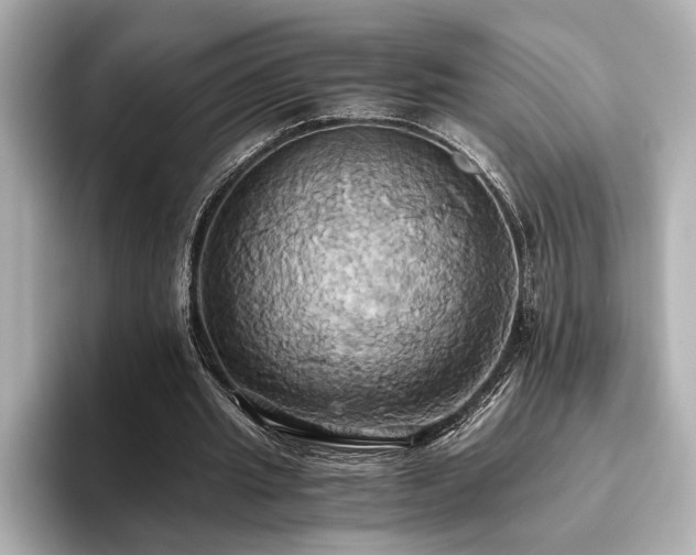X0000093610437200710151242
