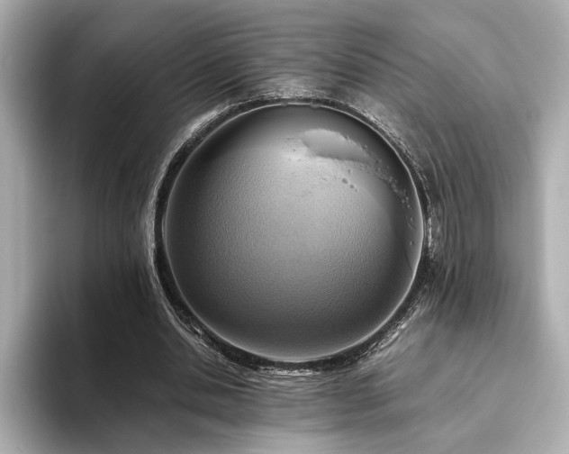 X0000093610438200710151242