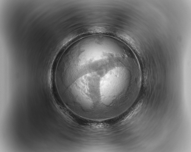 X0000093610439200710151242