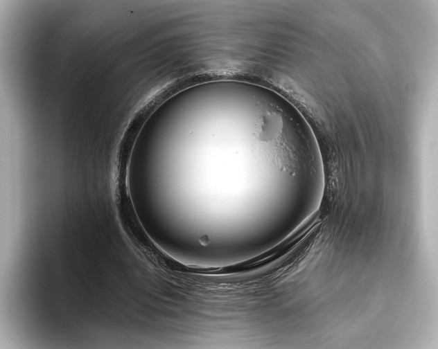 X0000093610440200710151242